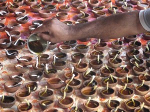 Filling the earthen lamps with oil